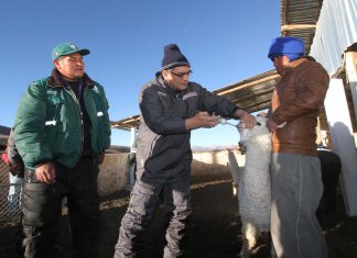 Minagri continúa acciones contra heladas en Puno