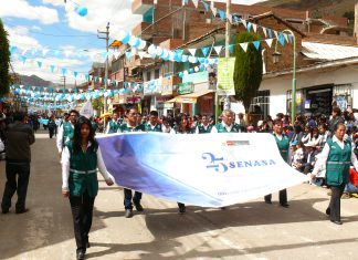 Senasa Huancavelica celebra día del Campesino con desfile cívico