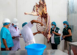 Senasa verifica condiciones sanitarias en mataderos de Áncash