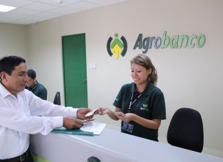 Andina – Agrobanco lanza hoy proyecto Banco Verde para impulsar agro sostenible