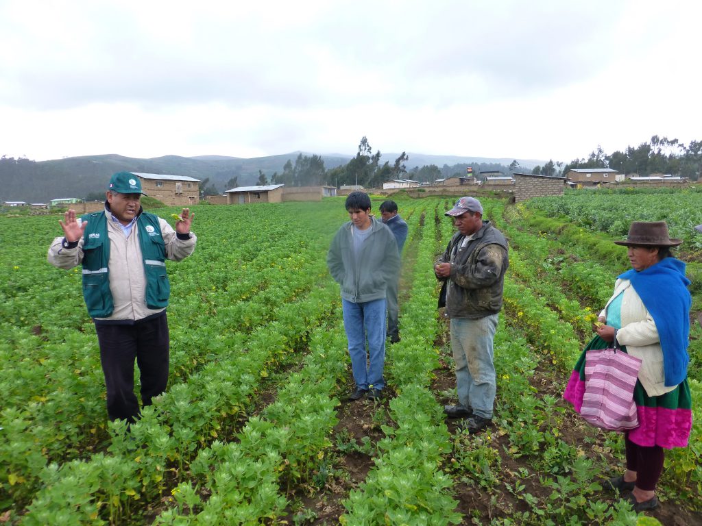 Apurímac: Senasa y agricultores buscan reducir uso de plaguicidas en cultivos