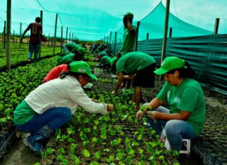 PNIA ofrece 140 becas para maestría y pasantías nacionales e internacionales