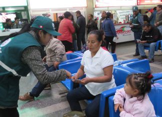 Cusco: Senasa orienta a pasajeros para evitar ingreso de Mosca de la fruta