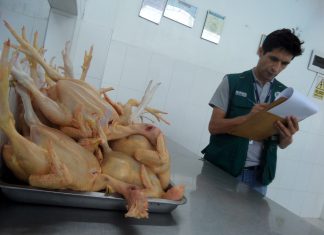 Senasa inspeccionó centros de faenamiento de aves en Moyobamba