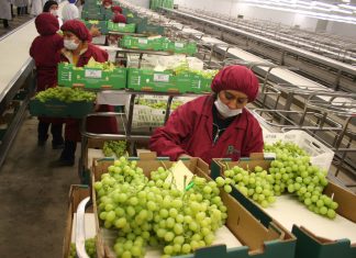 Andina – Minagri: Agroexportaciones llegaron a 129 países y crecieron 5% a abril