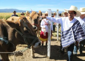Andina – Minagri: Reglamento para el uso de la leche está listo