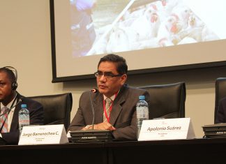 Senasa: Acciones de prevención a nivel nacional mantienen al Perú libre de Influenza Aviar