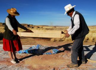 Gestión: ¿Qué hicieron la OIT, FAO y Unesco para apoyar a la quinua del Perú y a sus productores?
