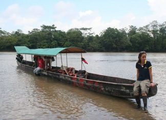 Andina – Senamhi: Nivel de ríos Napo y Amazonas baja ligeramente, pero mantienen alerta