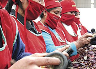 El Peruano – Senasa: Abren mercado para 7 frutos en Brasil, Bolivia, Colombia y Ecuador