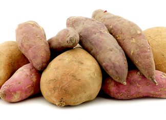 Establecen requisitos fitosanitarios para importación de plantas in vitro de papa y camote de origen Perú y procedencia Bélgica