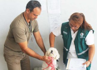 SENASA: Asegura que tu mascota llegue a su destino