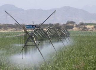 Andina – INEI: Catorce ciudades registraron disminuciones de precios en junio