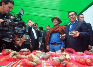 Andina – Minagri: Aplicativo permitirá conocer en tiempo real precios de alimentos más baratos