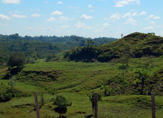 Andina -Minagri: exportaciones de limón crecieron 3,218 % entre 2002 y 2016