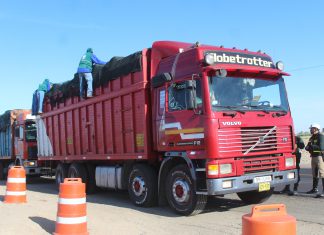 Arequipa: Operativo para control de movilización de hospedantes de mosca