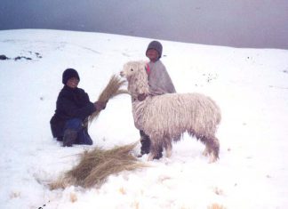 Andina – Senamhi: Puerto Maldonado registra temperatura mínima de 12 grados
