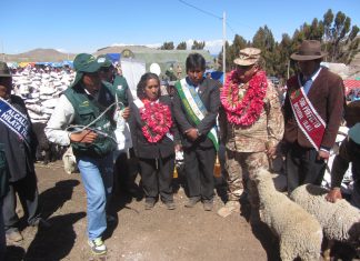 Puno: Instituciones del Estado realizan atenciones en la frontera con Bolivia
