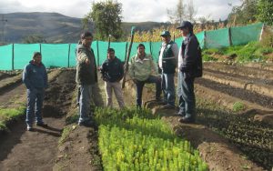 Senasa Apurí­mac - ImplementaciÃ³n de acciones contra plagas