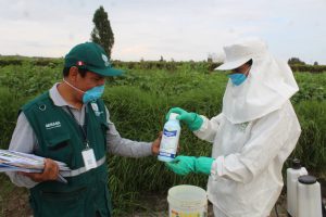 Senasa orienta a asociación Campo Limpio para el manejo de envases de plaguicidas