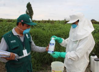 Arequipa: Senasa orienta a asociación Campo Limpio para el manejo de envases de plaguicidas
