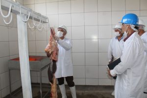 Senasa - Inspeccion Matadero en Arequipa - Inocuidad