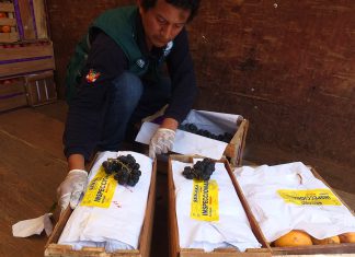 Lima: Senasa realiza inspecciones a diario en el Mercado de Frutas