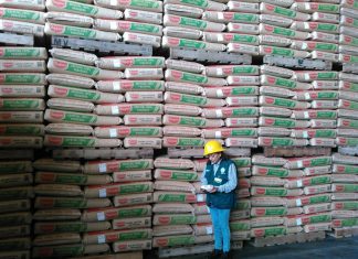 Piura: Medidas fitosanitarias preventivas para evitar introducción de nuevas plagas