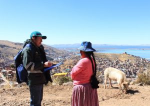 Senasa Puno - Vigilancia sanitaria de porcinos