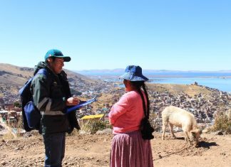 Senasa: Se intensifica vigilancia sanitaria de porcinos en Puno