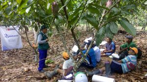 Senasa Ucayali - Capacitación en el Manejo Integrado de Plagas