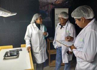 Tacna: Senasa inspecciona planta empacadora de cebollas para su certificación