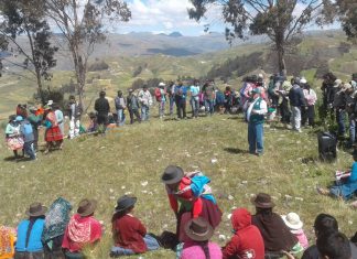 Apurímac: Productores de quinua refuerzan acciones ante heladas