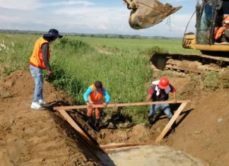 Andina – Agroideas financió 477 planes de negocios a favor de 18,000 productores