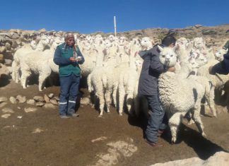 Minagri: servidores del campo en acción