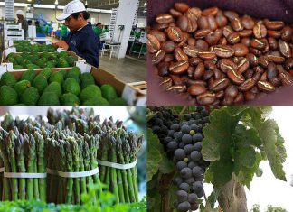 El Comercio – Minagri: Los alimentos que más le vende el Perú al mundo