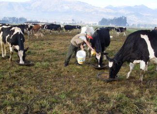 Andina – Gore Ejecutivo: Arequipa priorizará temas de vivienda, agricultura y transportes