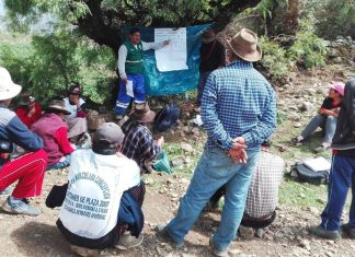 Apurímac: Senasa amplía áreas del MIP con nueva Escuela de Campo