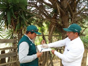 Comunidades andinas protegidas por medidas fitosanitarias del Senasa
