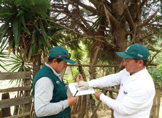 Piura: Comunidades andinas protegidas por medidas fitosanitarias del MINAGRI