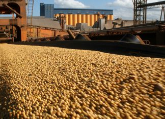 Perú suspende importación de productos agropecuarios procedentes de Bolivia