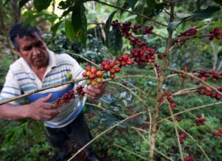 Agraria.pe: Ministro de Agricultura supervisó laboratorios de la Estación Experimental Agraria del INIA