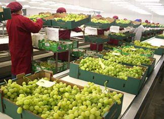 Minagri: Se acelerará el proceso de saneamiento físico legal de predios de pequeños agricultores