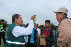 Senasa - Agricultores de Motupe aprenden a reconocer plagas en los cultivos de menestras