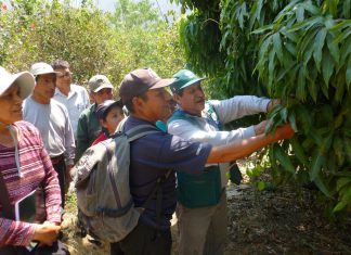 Meta 42: Más de 31 mil familias de Apurímac se beneficiarán con implementación del MIP
