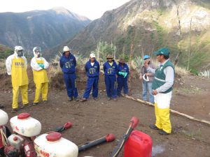 Senasa - Control de Langostas en Cusco