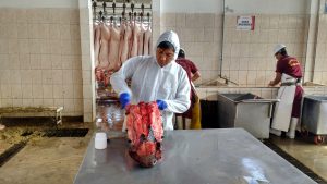 Senasa - Monitoreo de EET y alimentos concentrados