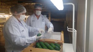 Senasa - Monitoreo de residuos químicos en alimentos agropecuarios