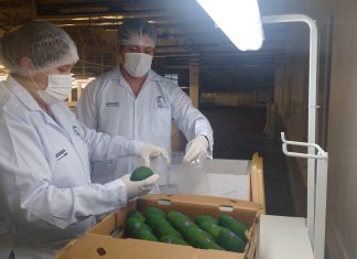 Ica: Monitoreo de residuos químicos en alimentos agropecuarios