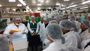 Senasa autorizará a profesionales para toma y envío de muestras de alimentos agropecuarios